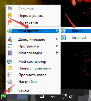 Окно программы OpenServer